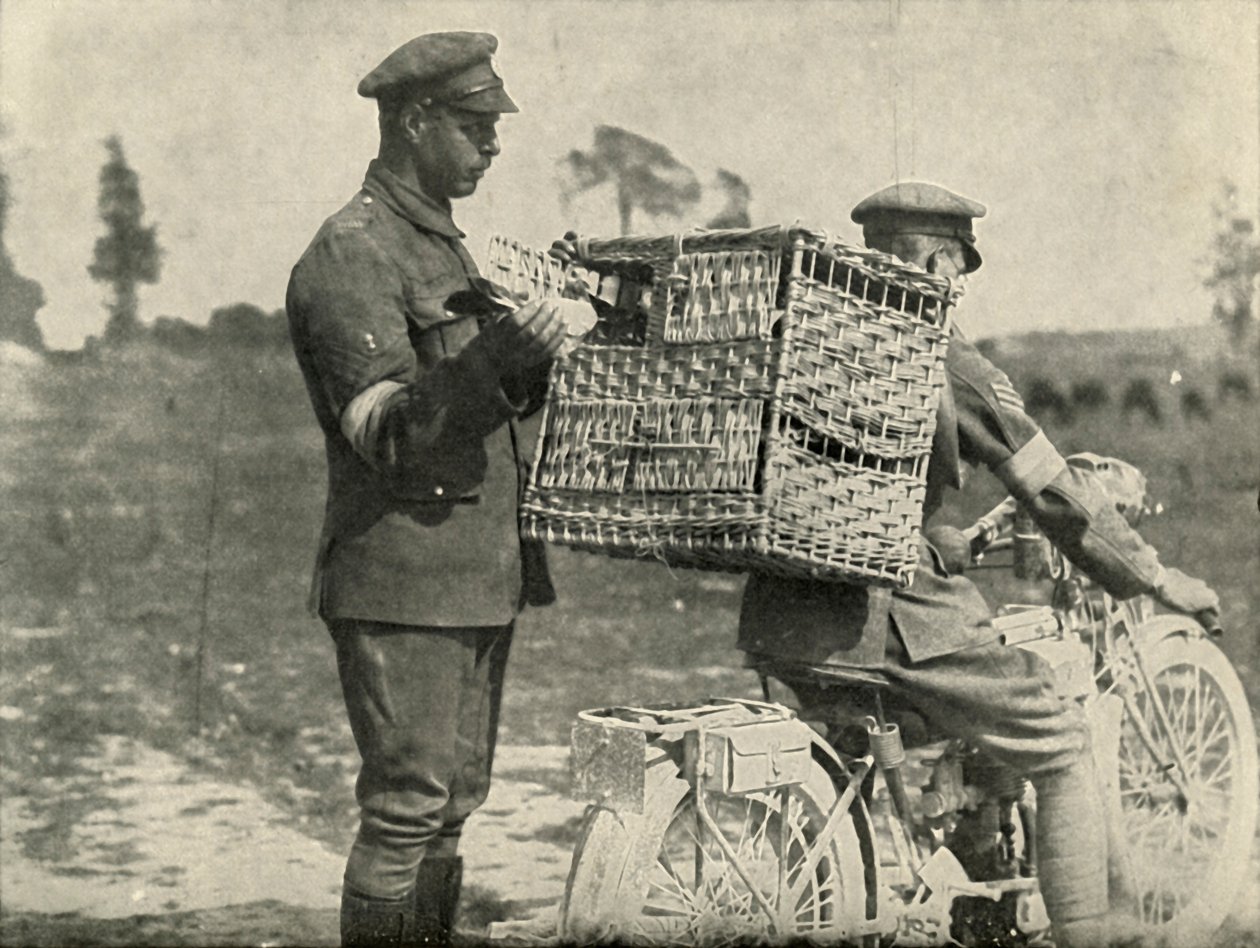 British Army Carrier Pigeons in France by Unbekannt