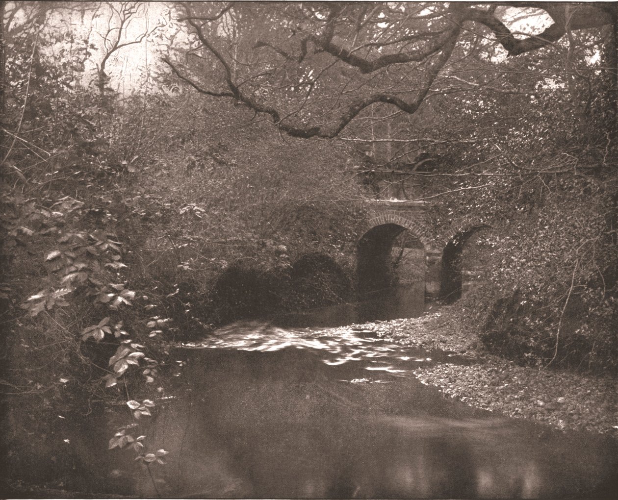 Brook and Bridge in the New Forest, Hampshire by Unbekannt