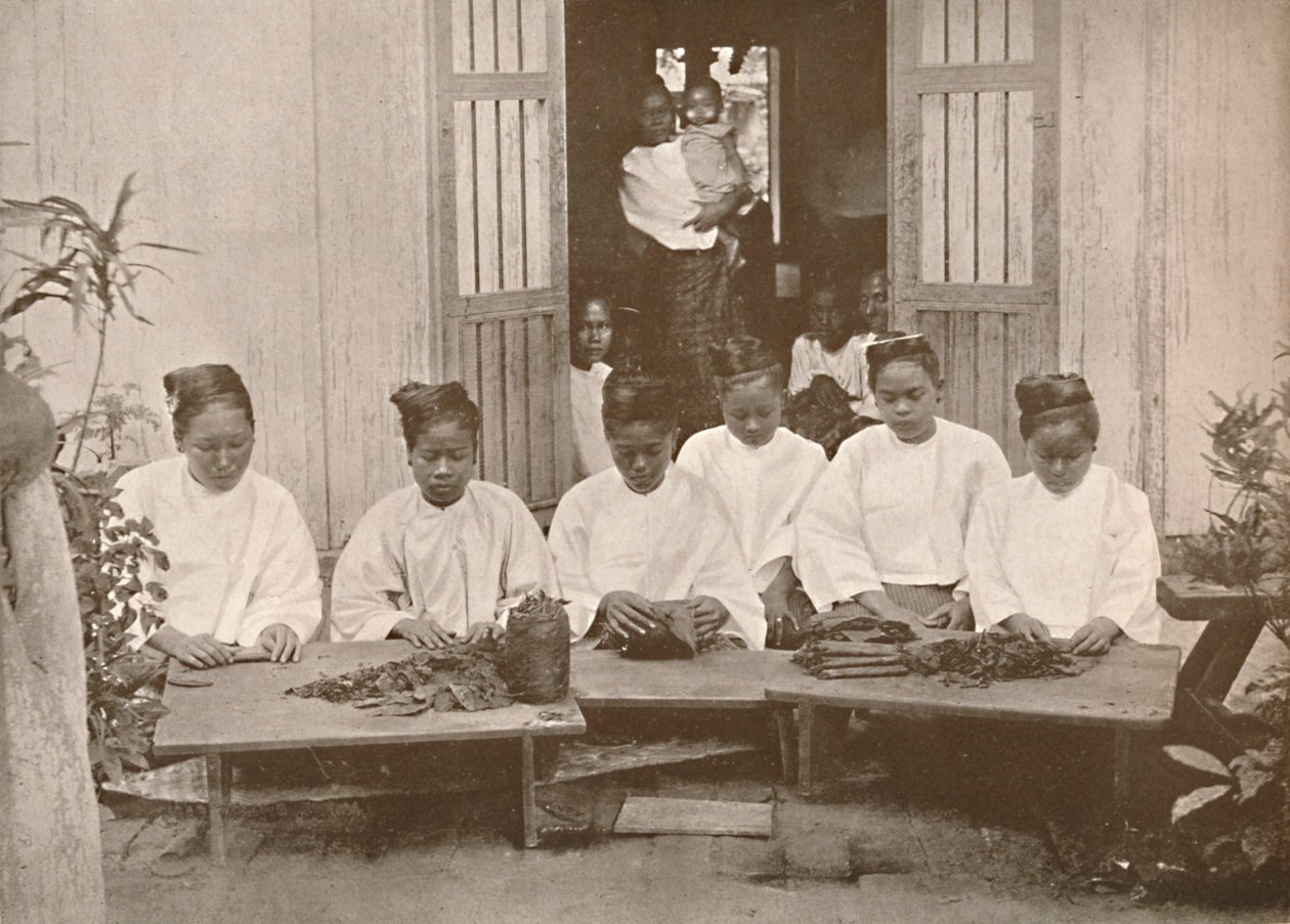 Burmese Cigar Makers by Unbekannt