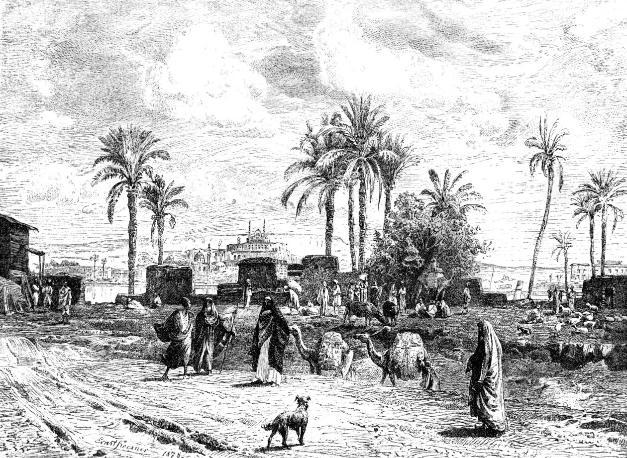 Cairo seen from the left bank of the Nile, 1881 by Unbekannt