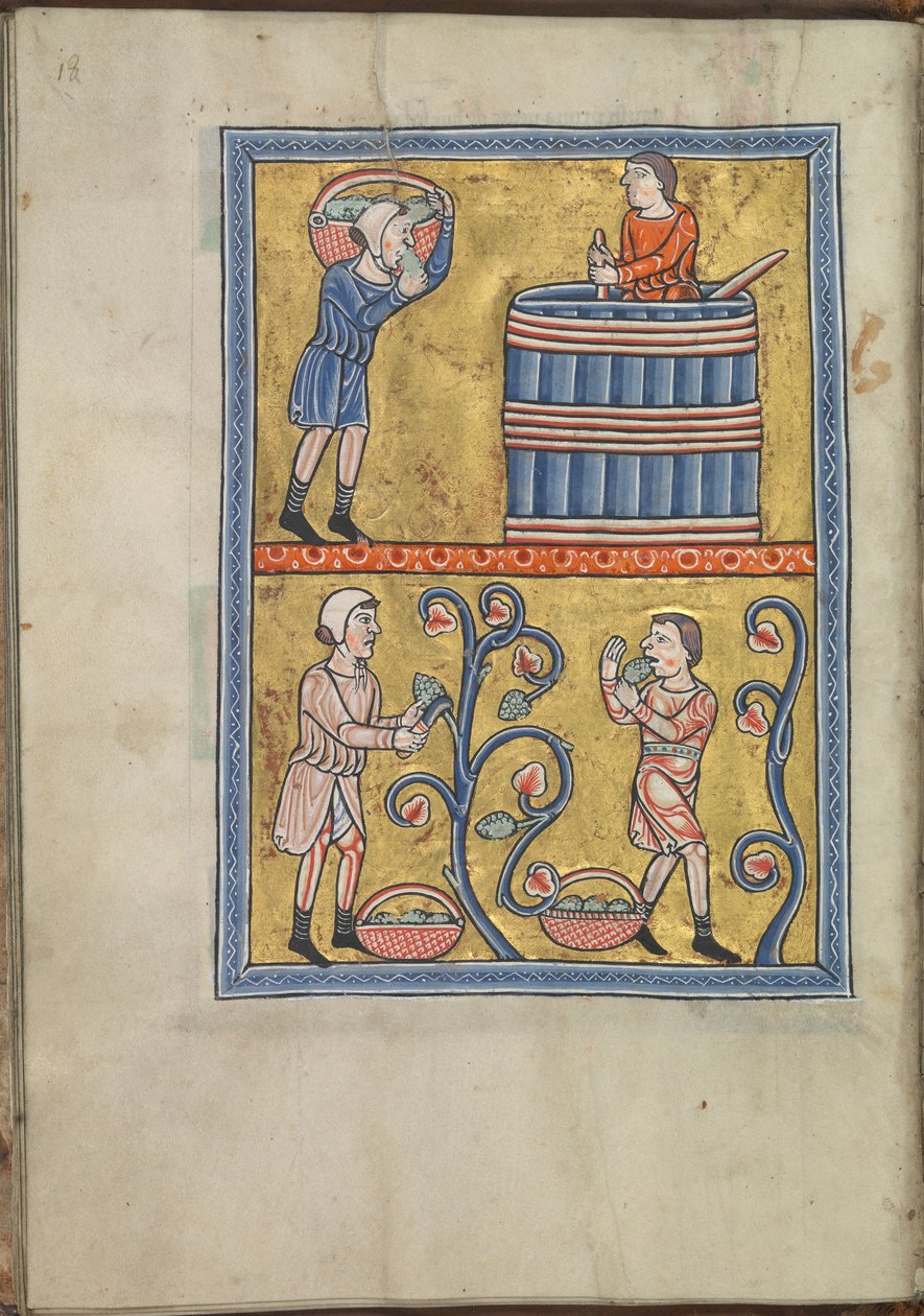 Calendar, September, men picking and treading grapes - Psalter of Eleanor of Aquitaine (ca. 1185) - KB 76 F 13, folium 009v by Unbekannt