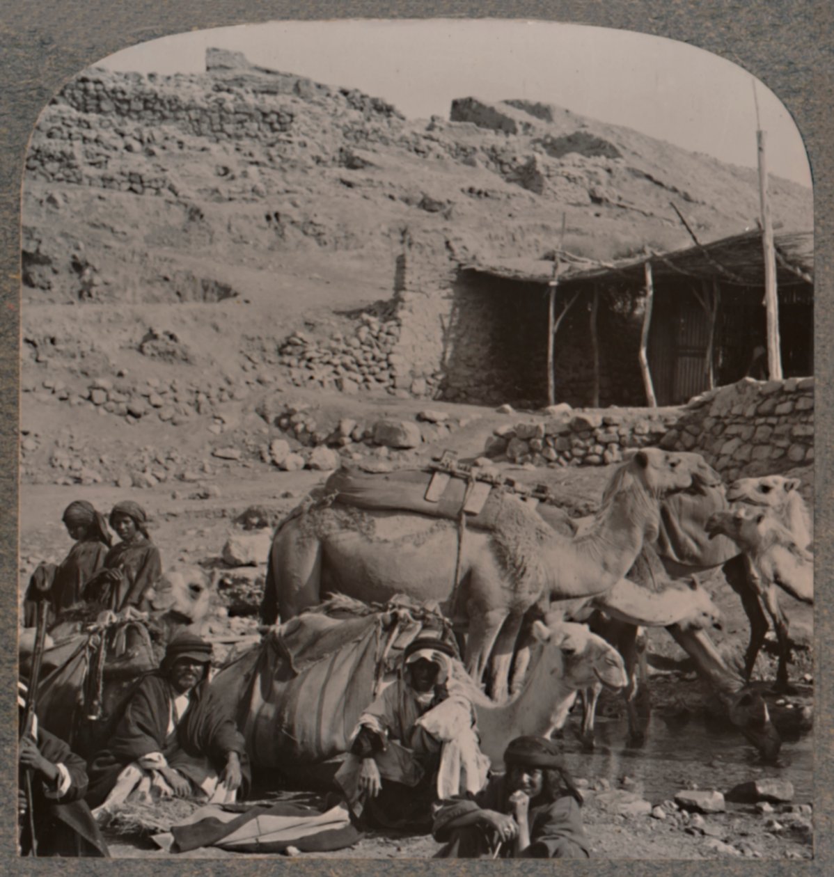 Camel train from Jerash, watering at the Fountain of Elisha by Unbekannt