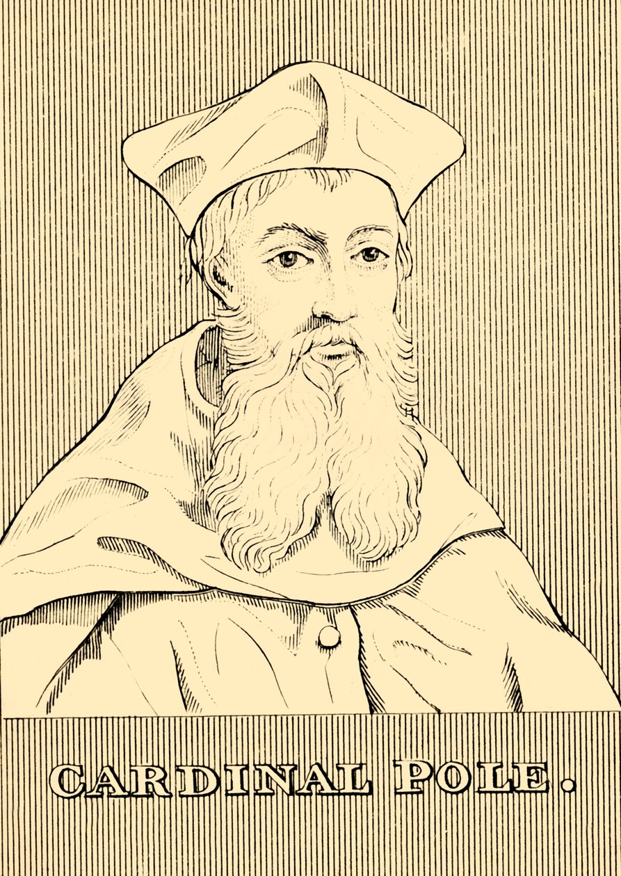 Cardinal Pole by Unbekannt