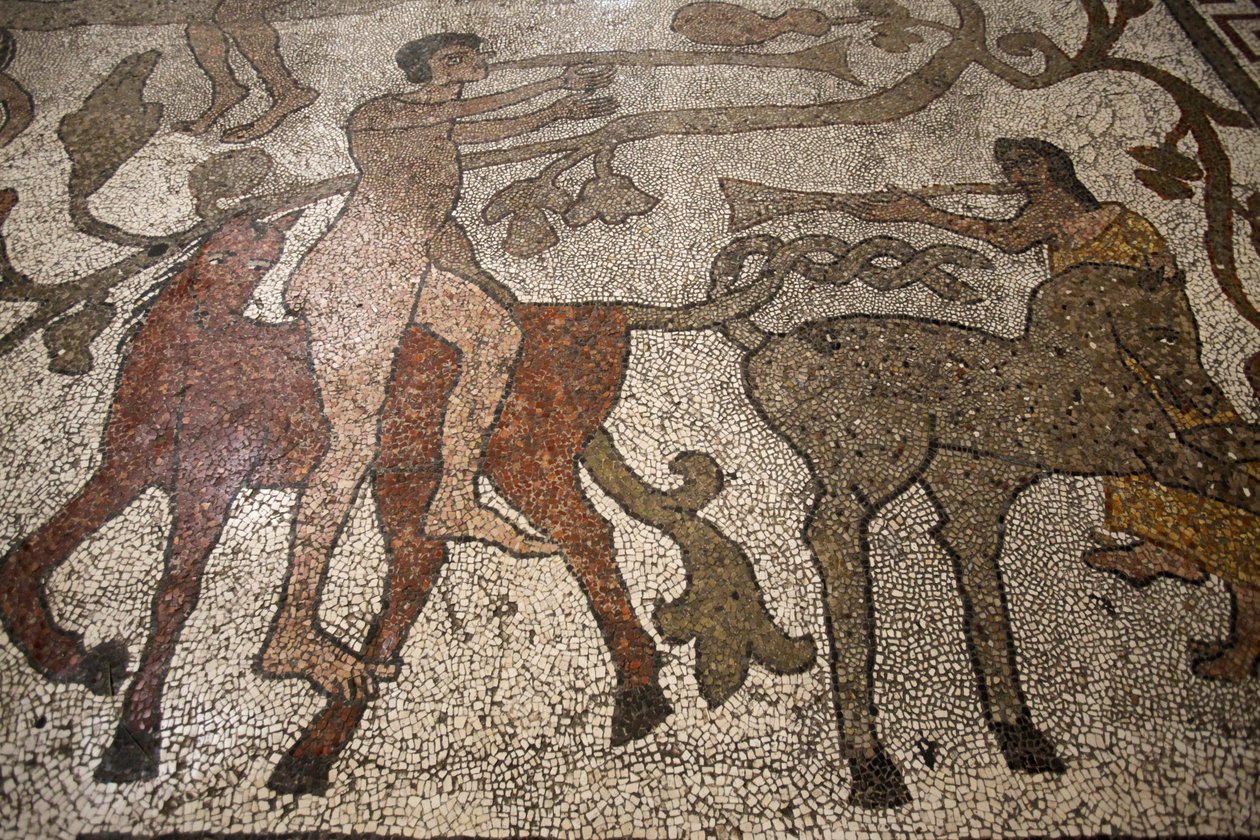 Central Nave Mosaic on the Floor of Otranto Duomo: Riders by Unbekannt
