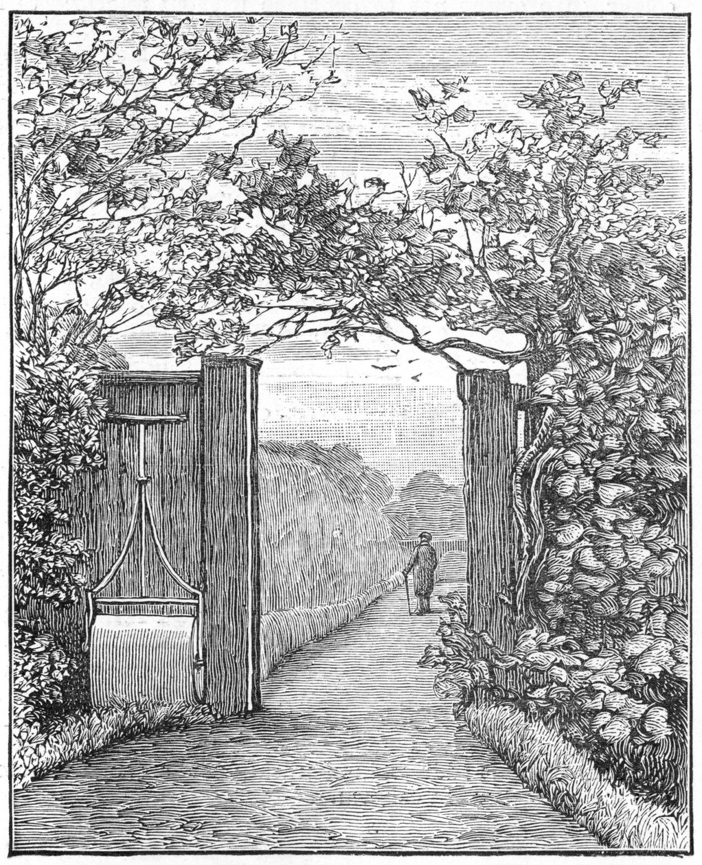 Charles Darwin in the sand walk at Down House by Unbekannt