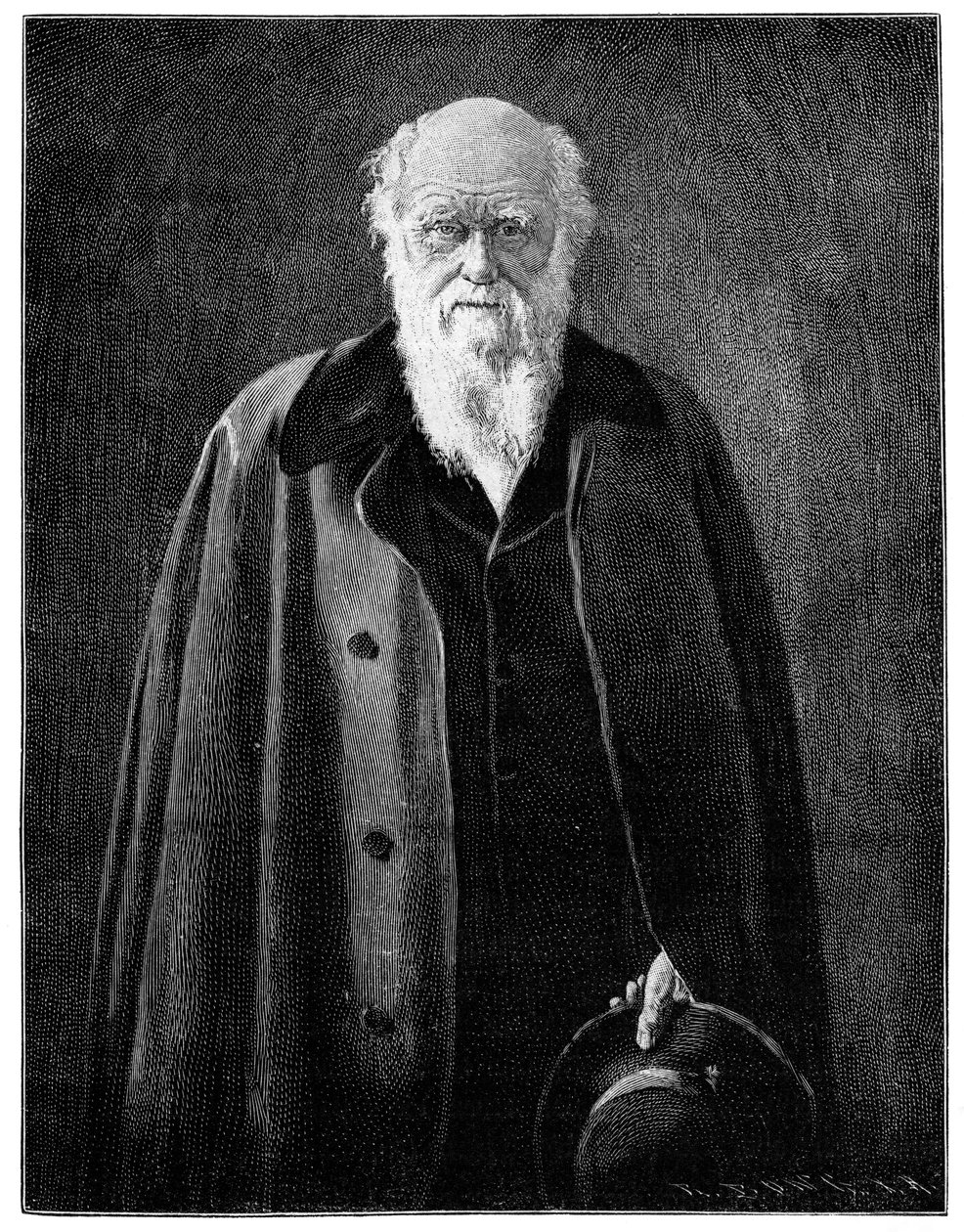 Charles Darwin, renowned naturalist and thinker, 1900 by Unbekannt