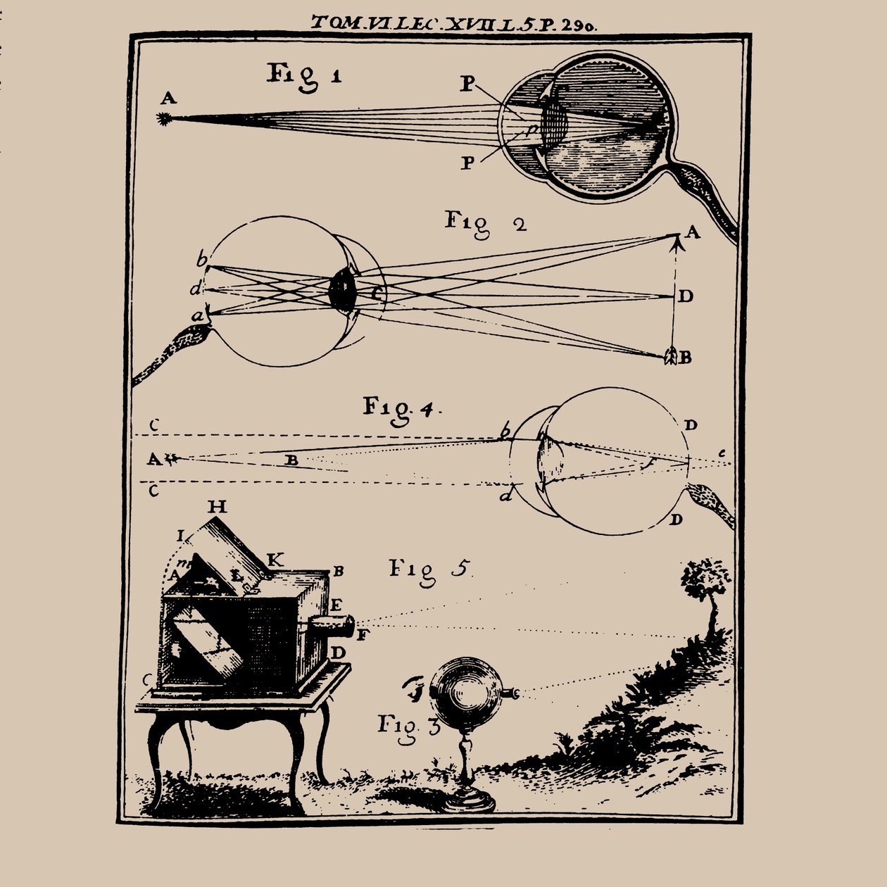 Comparative Depiction of the Human Eye and the Camera Obscura by Unbekannt