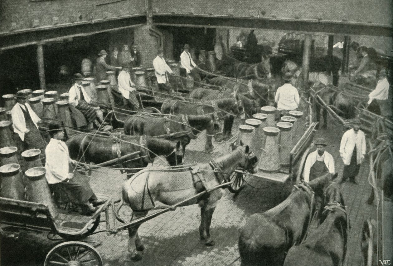 Delivery Vans Starting from Messrs, Freeth and Pocock