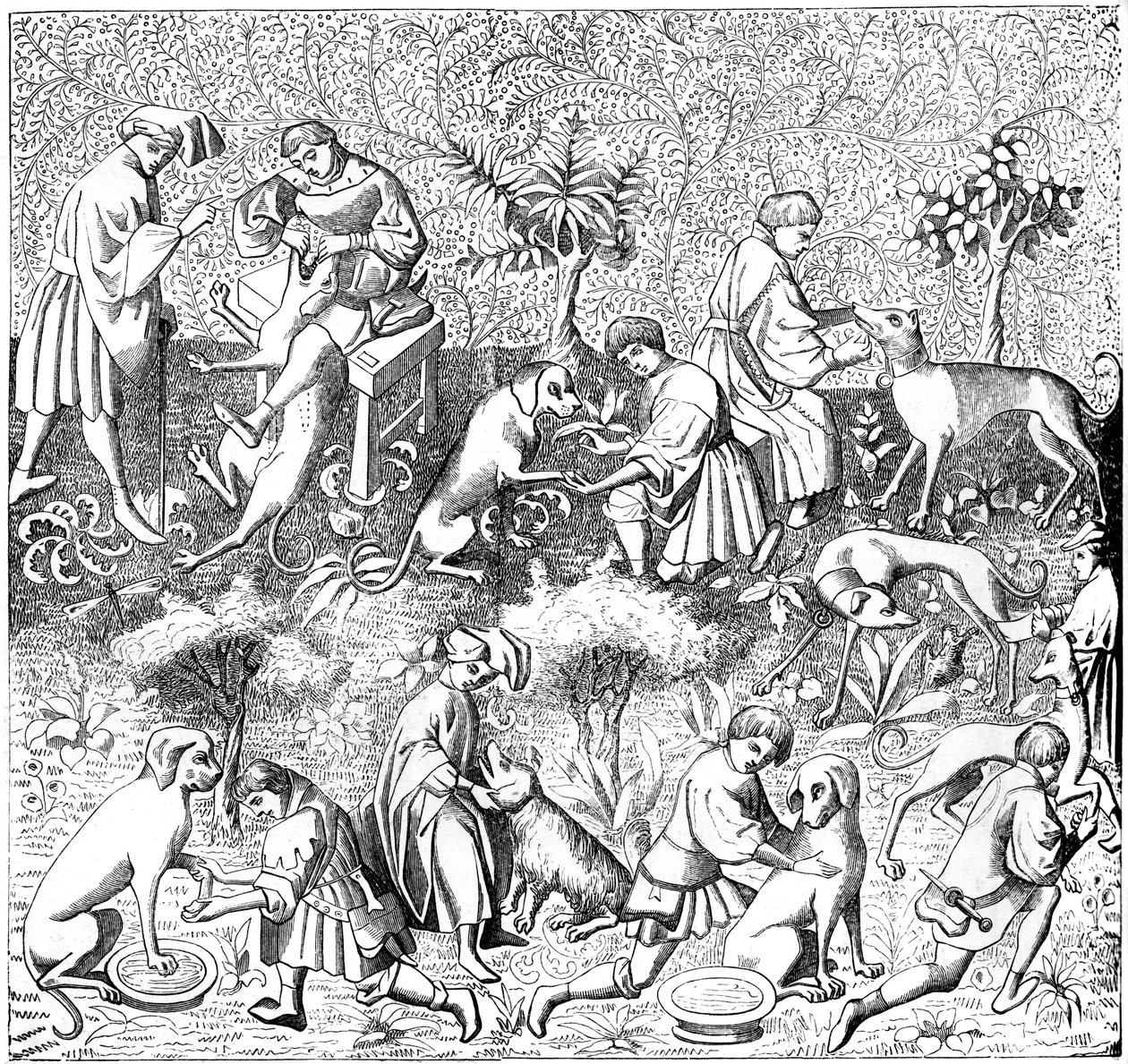 Diseases of Dogs and Their Cures by Unbekannt