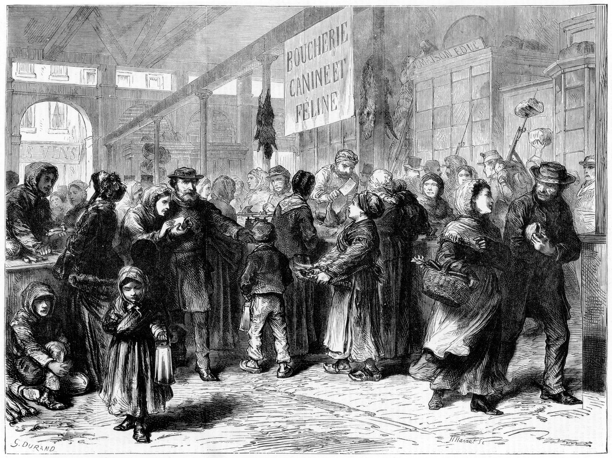 Dog and Cat Meat Butcher in Paris, Franco-Prussian War by Unbekannt