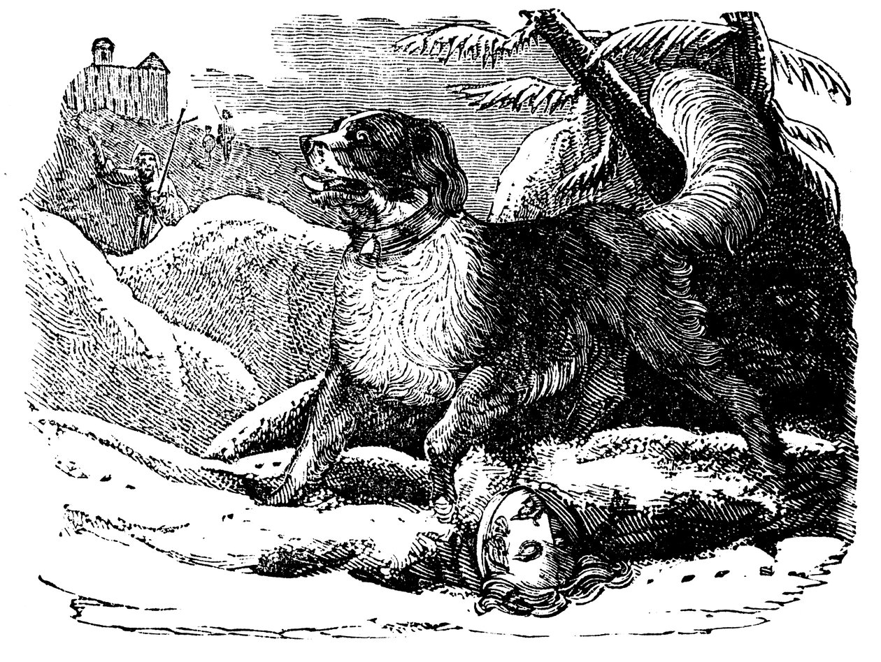 Dog from the Hospice of St Bernard Finding a Traveller in the Snow by Unbekannt