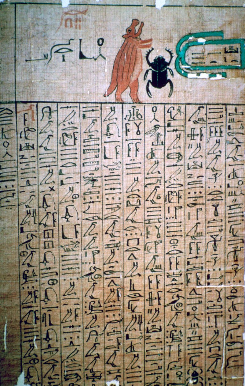 Egyptian Hieroglyphs from a Book of the Dead by Unbekannt