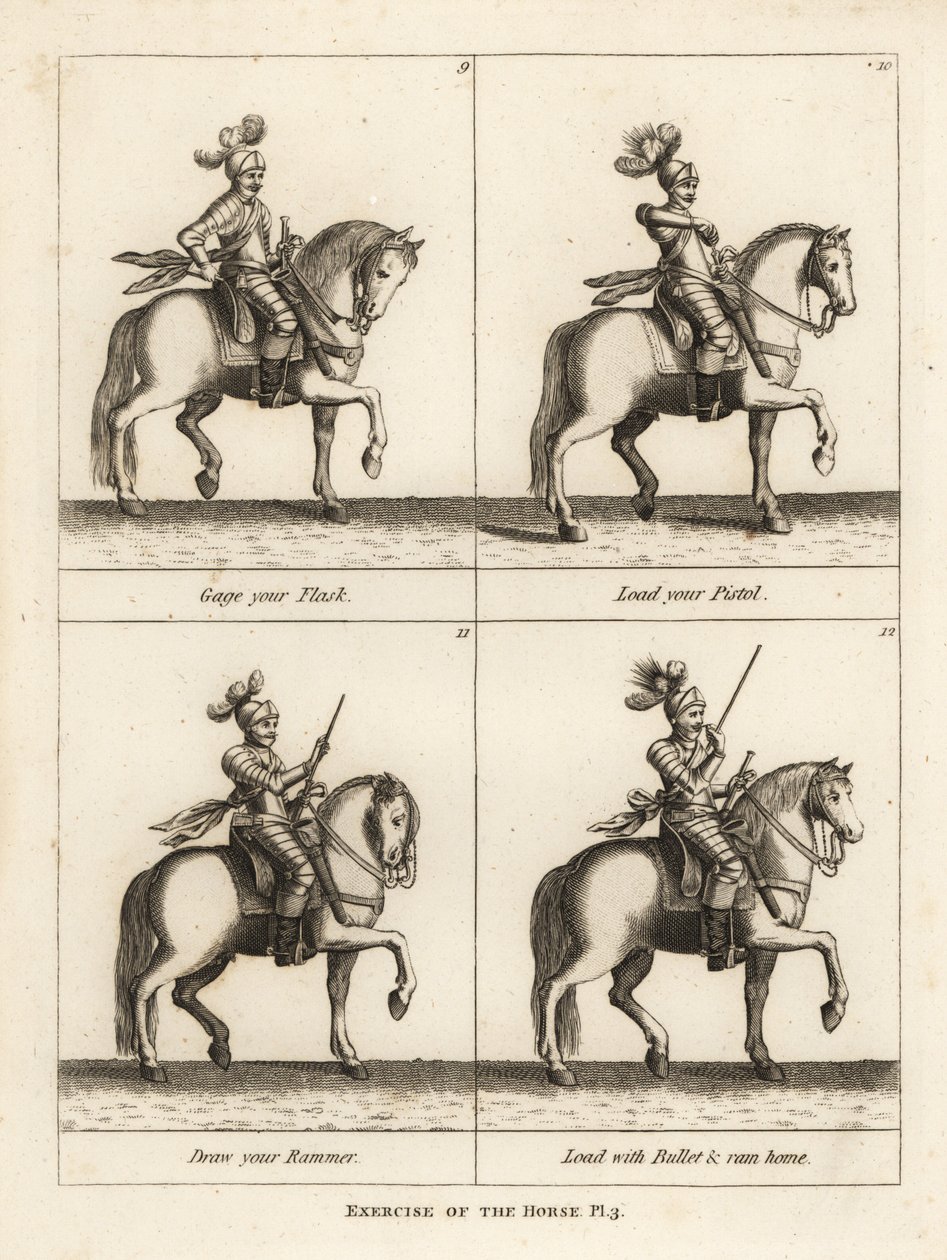 Exercise of the Horse by Unbekannt