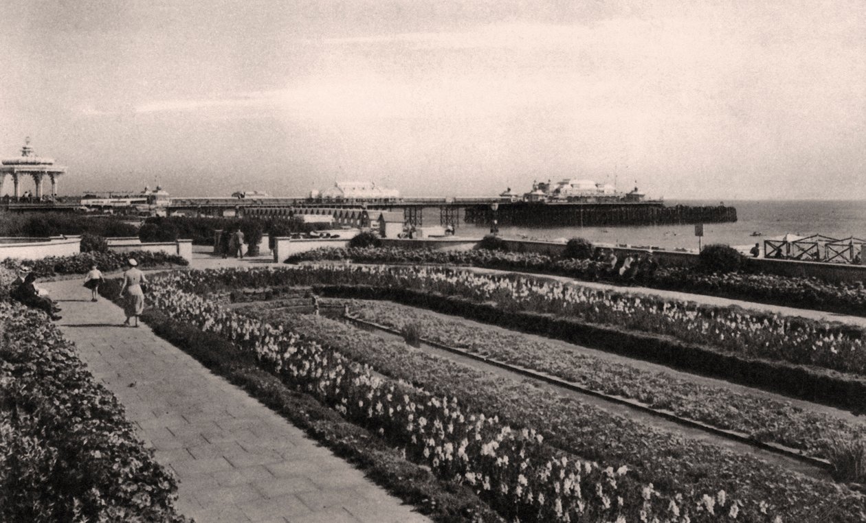 Floral gardens and the West Pier, Brighton, Sussex by Unbekannt
