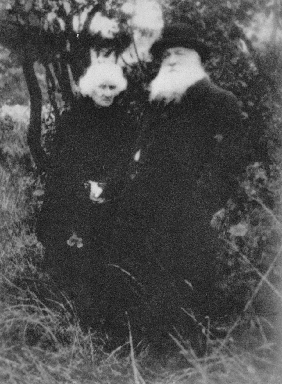 French Sculptor Auguste Rodin Photographed in the Park of His Villa at Meudon by Unbekannt