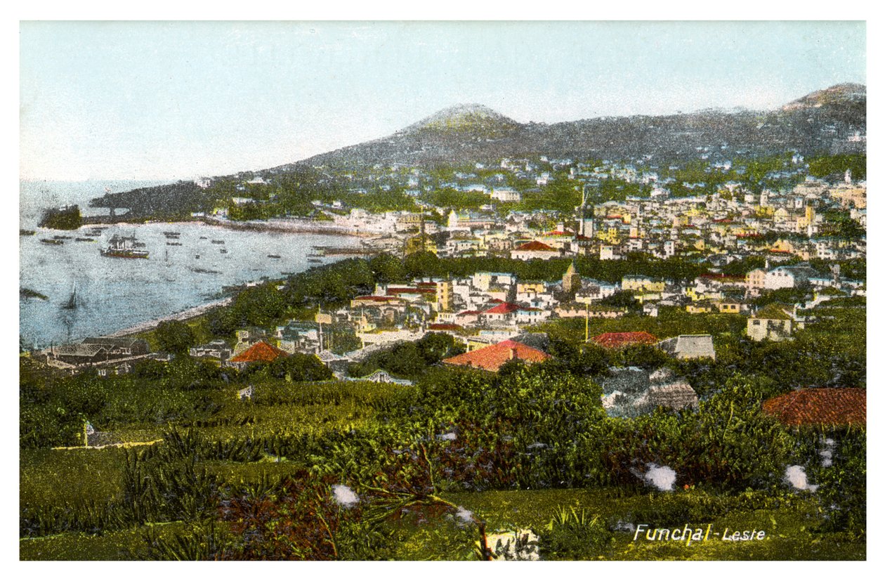 Funchal, Madeira, early 20th century by Unbekannt