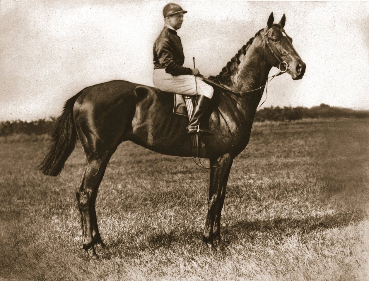 Georges Stern on Sunstar by Unbekannt