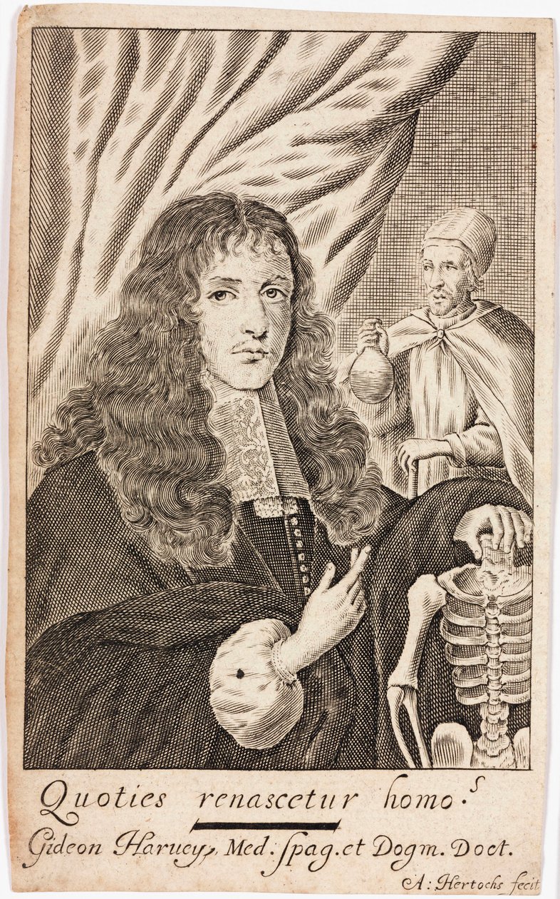 Gideon Harvey, English physician by Unbekannt