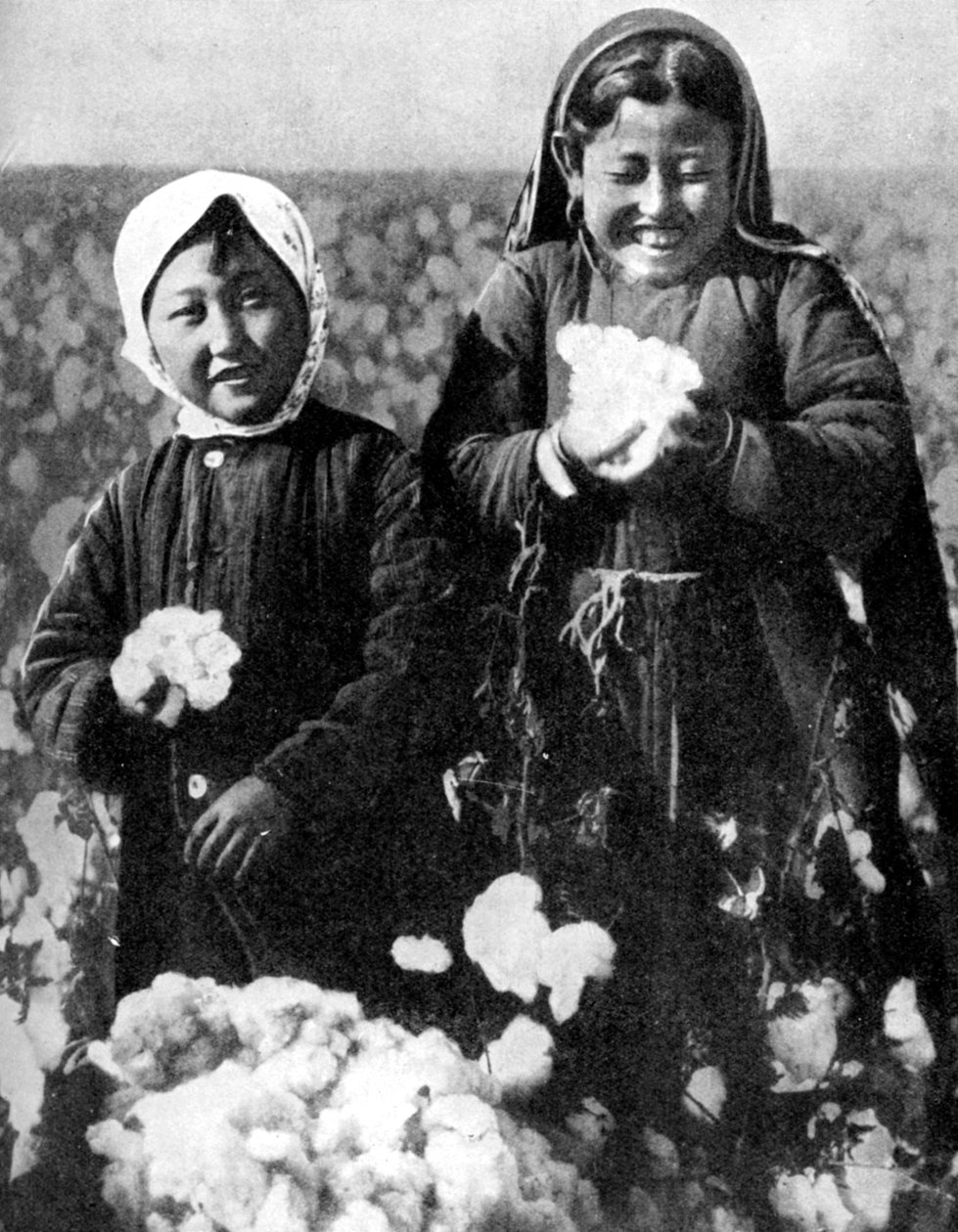 Girls in a cotton field, Kazakhstan by Unbekannt