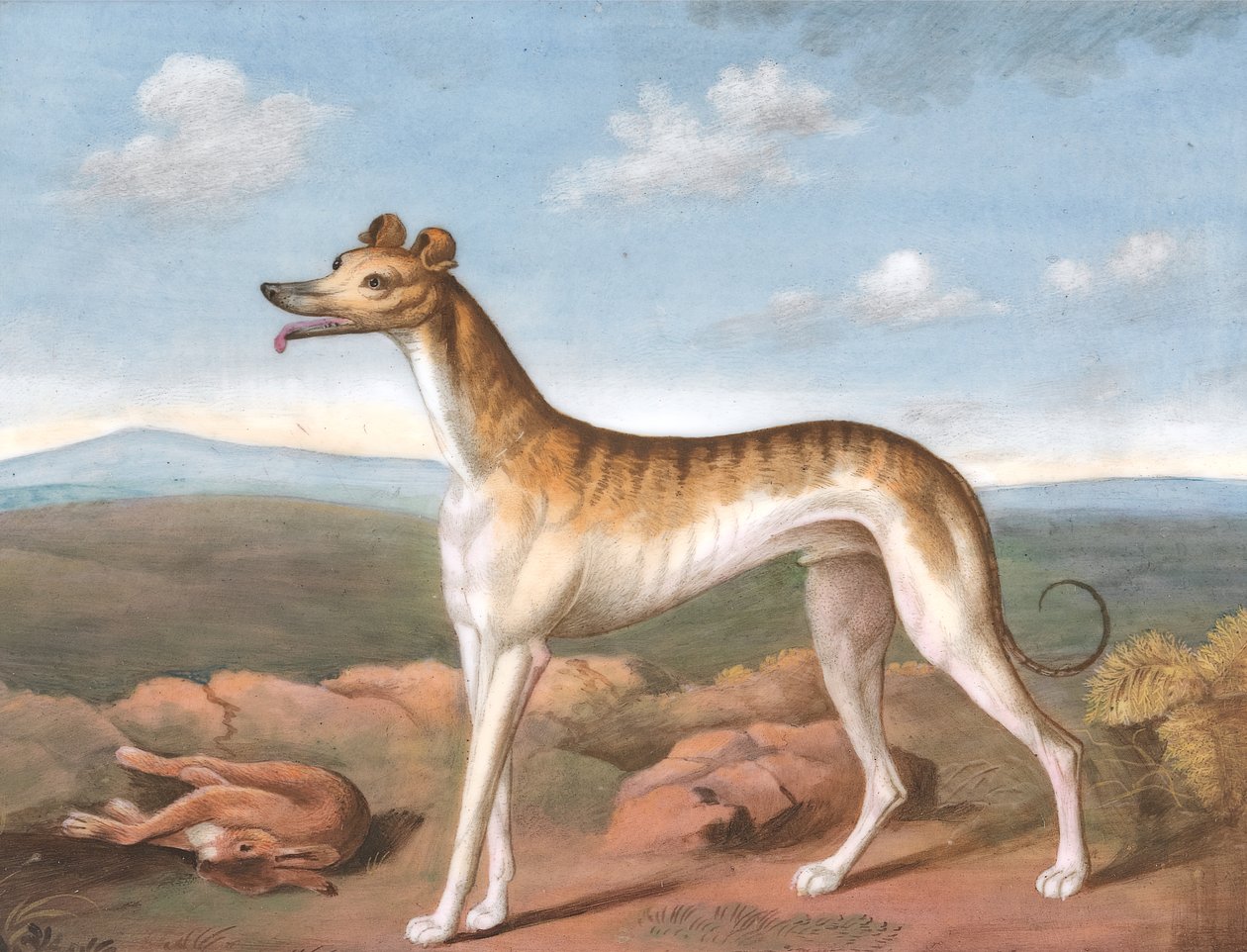 Greyhound: Facing Left, with a Dead Hare at His Feet, ca. 1805 by Unbekannt