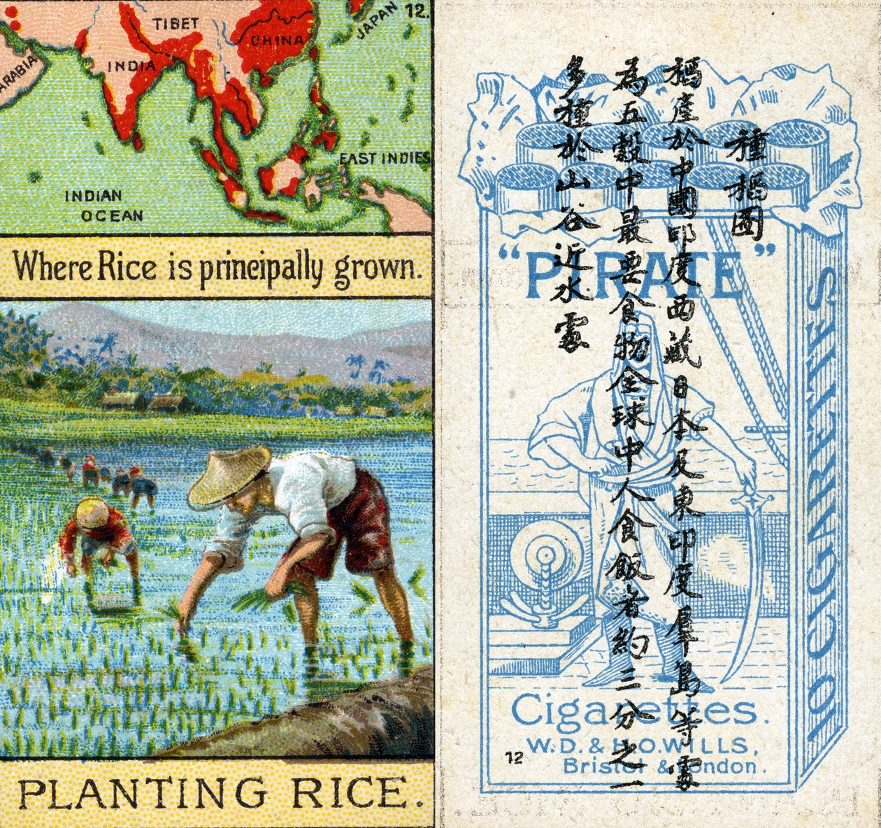 Growing and Planting Rice, from the series of 