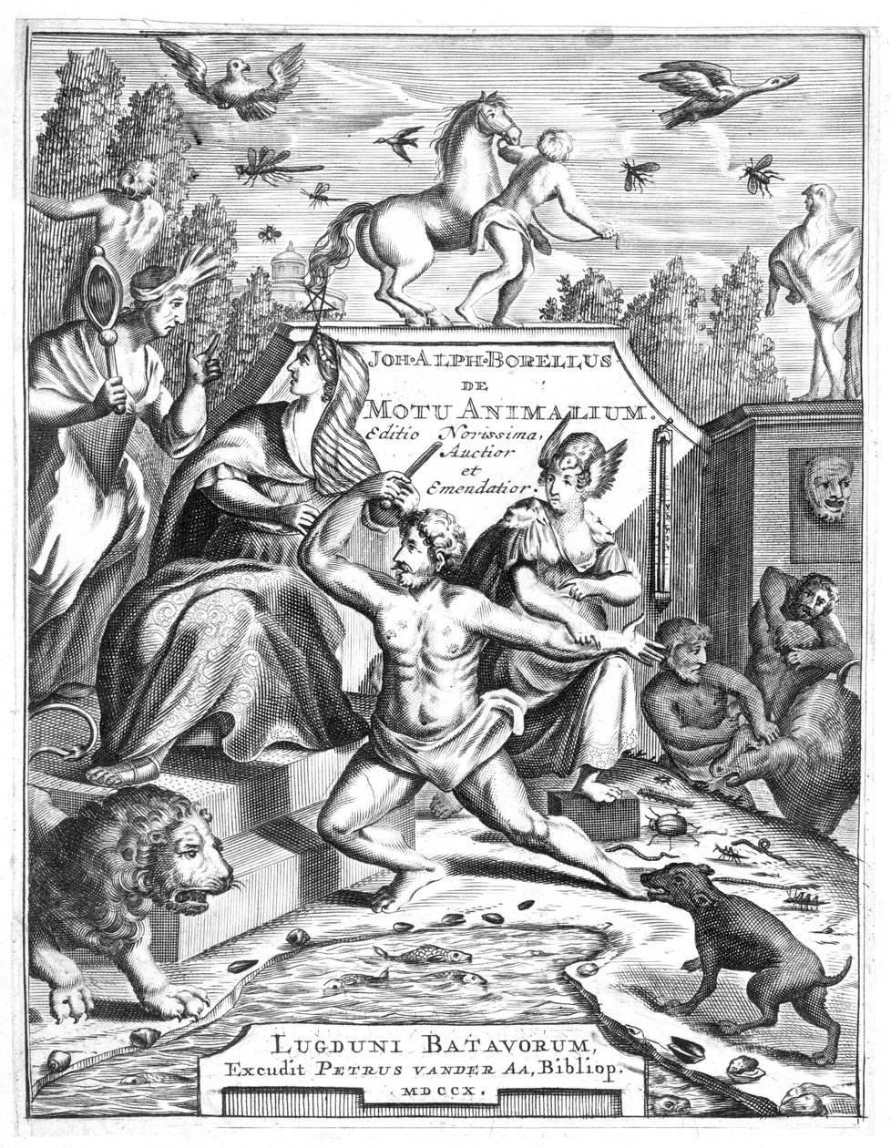 Half-title of De Motu Animalum by Giovanni Borelli, 1710 by Unbekannt