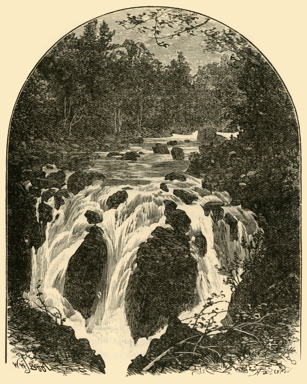 Hermitage Fall, 1898 by Unbekannt