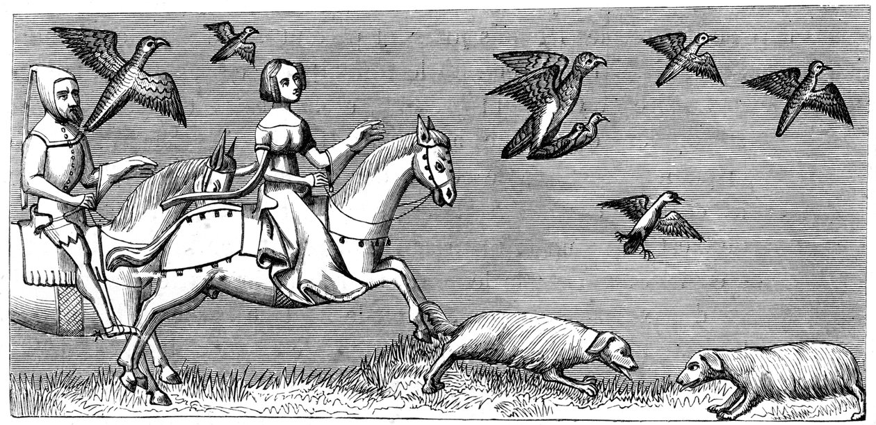 How to make young hawks fly, 14th century 1849 by Unbekannt