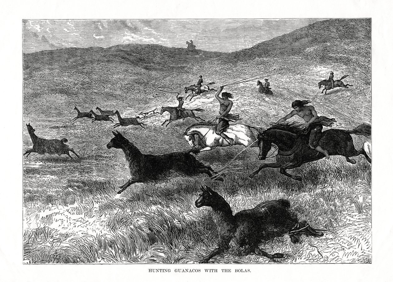 Hunting Guanacos with the Bolas, South America by Unbekannt