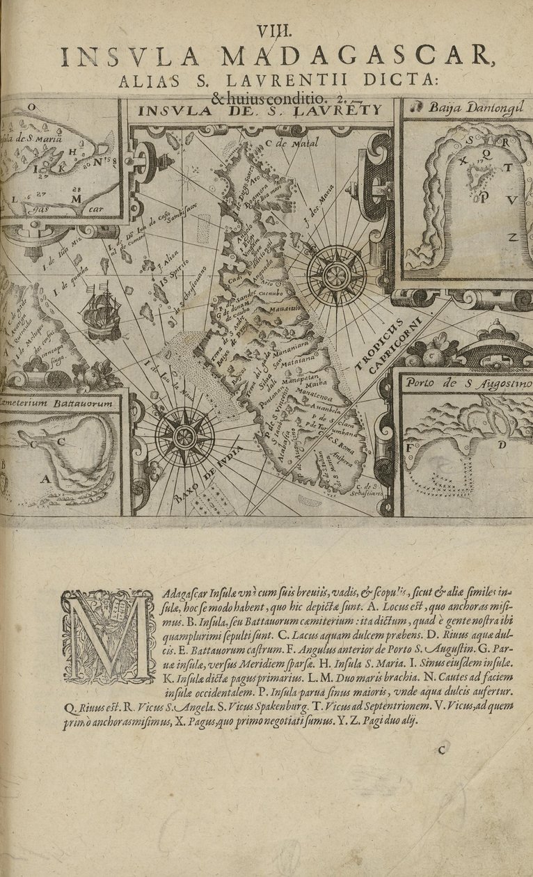 Illustration from the book India Orientalis by unknown author, published by Excudebat Matthaeus Beckerus (Frankfurt, 1598-1628) by Unbekannt