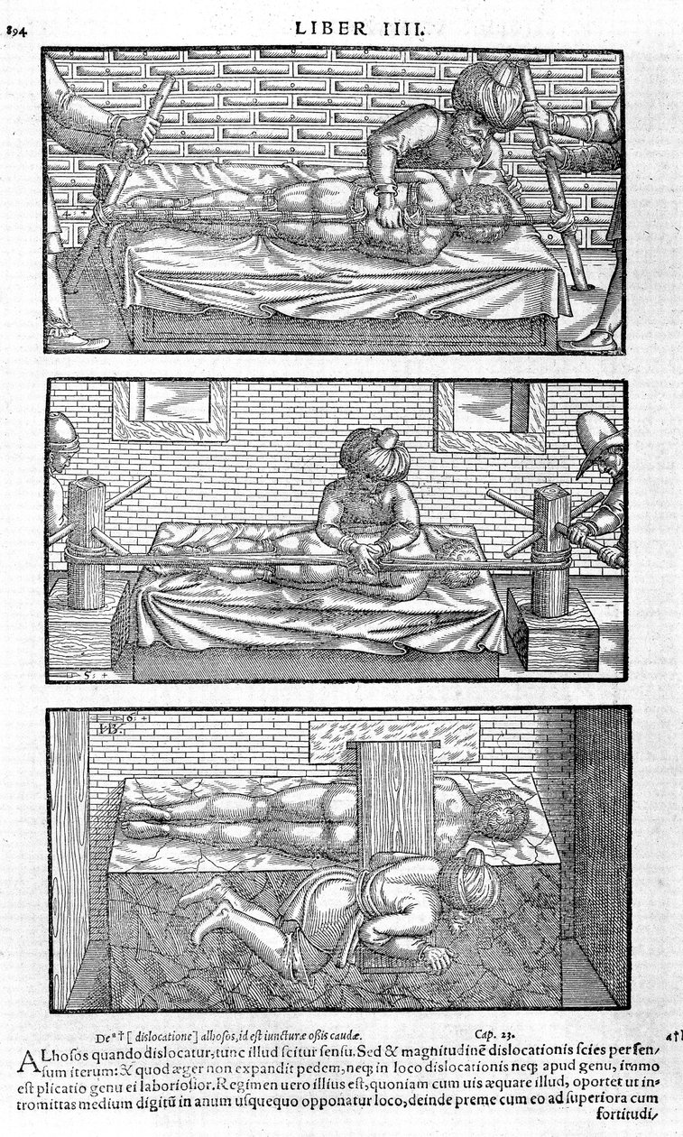 Illustration from Liber Canonis de Medicinis Cordialibus by Avicenna by Unbekannt