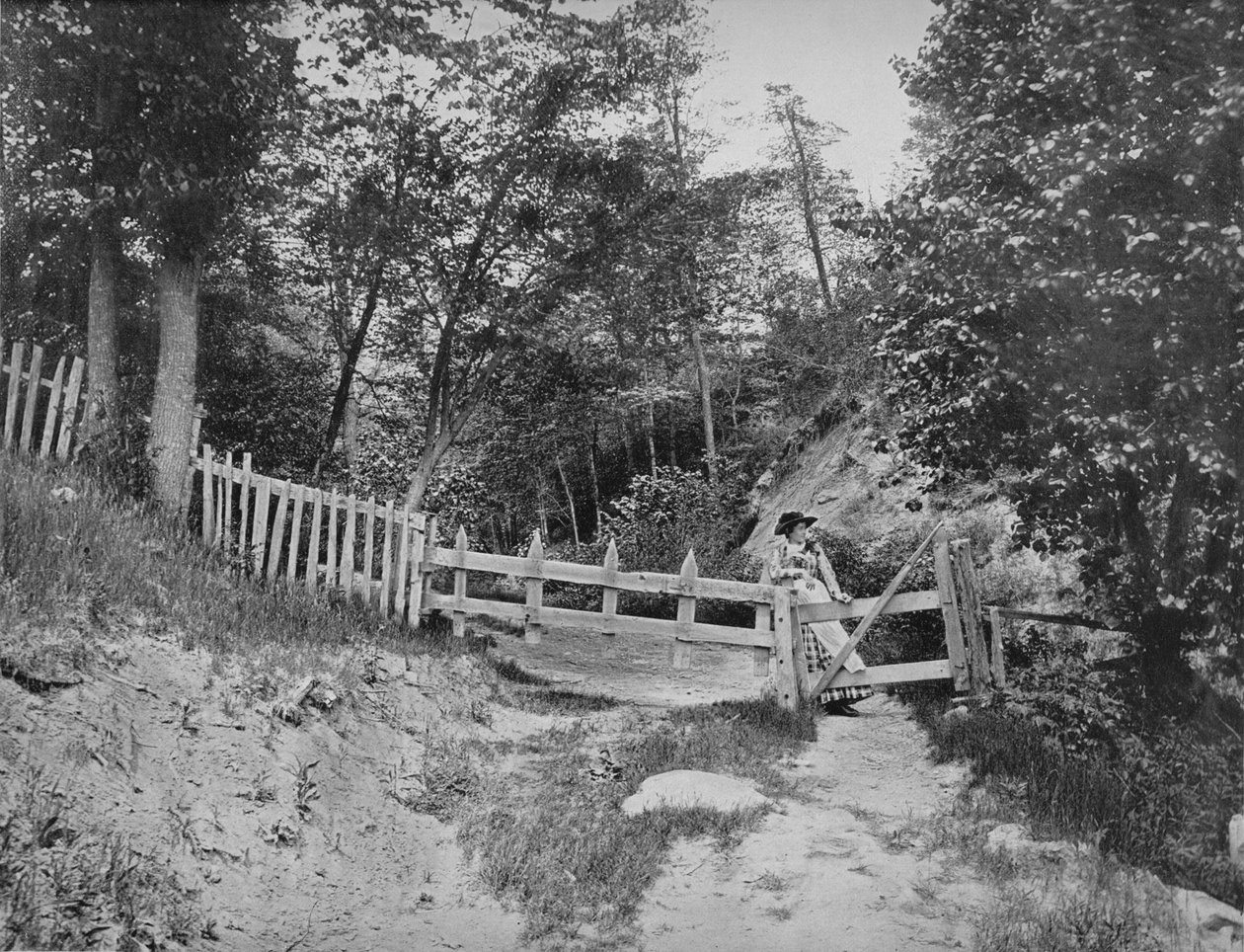 In the Berkshire Hills, Massachusetts by Unbekannt