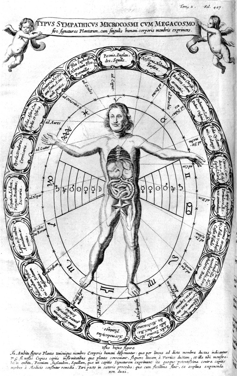 Influence of the Universe, the Macrocosm, on Man, the Microcosm by Unbekannt