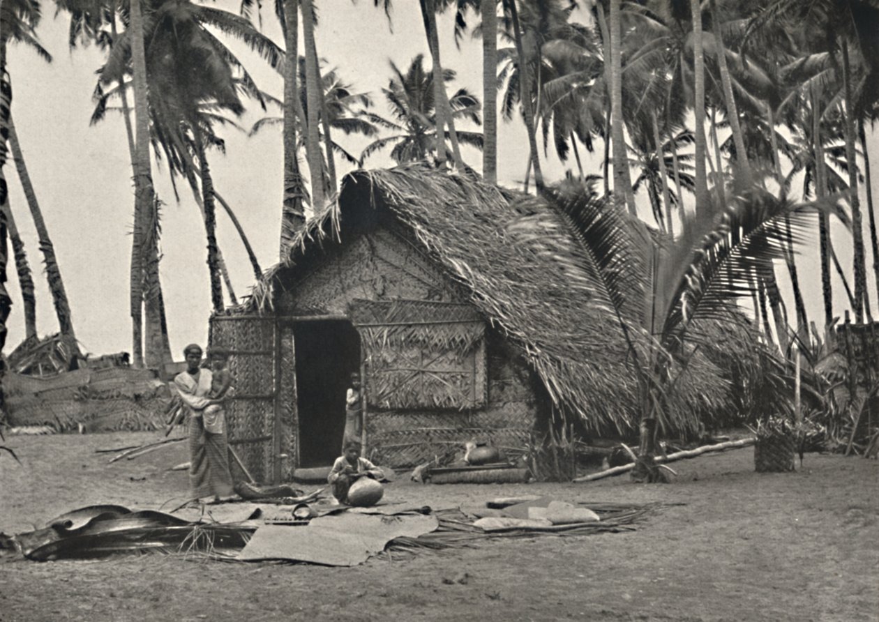 Coconut Palms and Native Hut Made of Coconut Leaves by Unbekannt