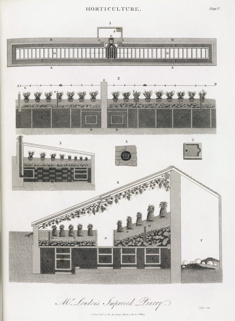 Pineapple Greenhouse, Elevation and Section of the Building by Unbekannt