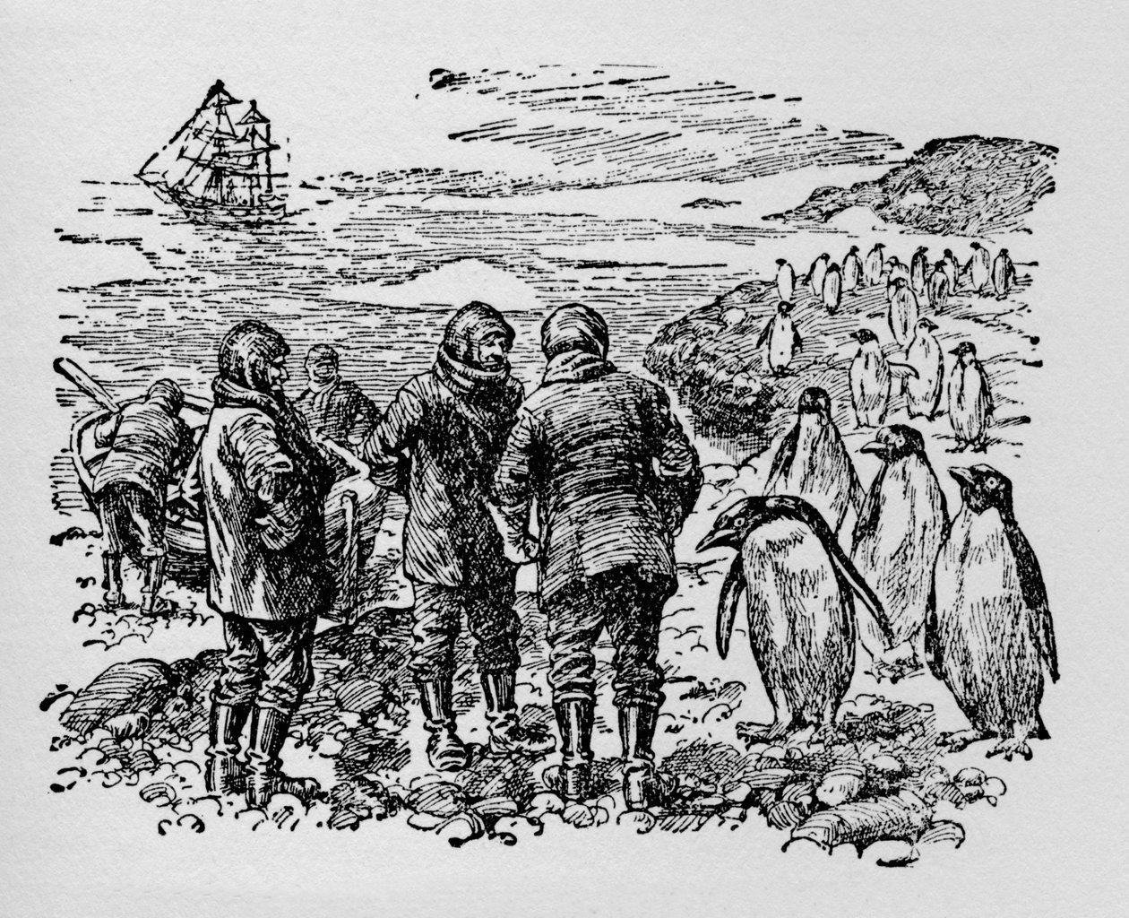 Landed on a Small Island Inhabited by Myriads of Penguins by Unbekannt