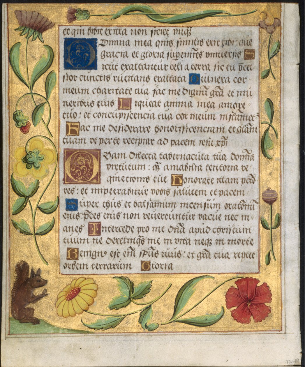 Leaf from a Psalter and Prayerbook: Ornamental Border with Flowers and Squirrel verso by Unbekannt