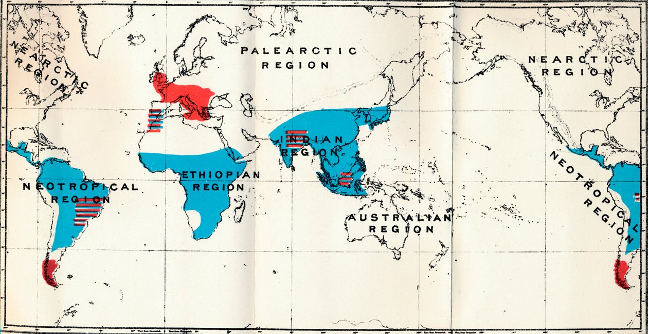 Lemuroidea - IV. Map, Showing distribution of Living Blue and Fossil Red Anthropoidea by Unbekannt
