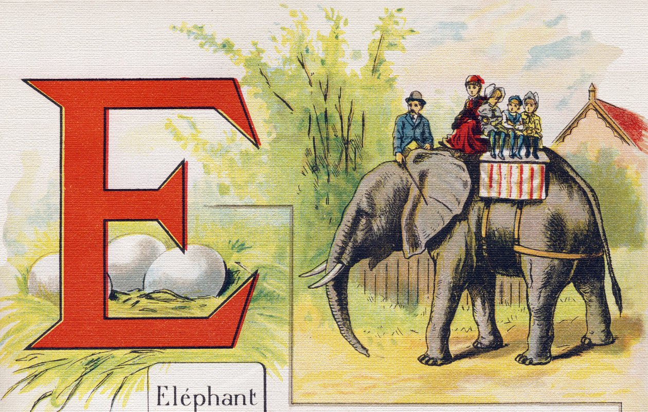 Letter E: Elephant by Unbekannt