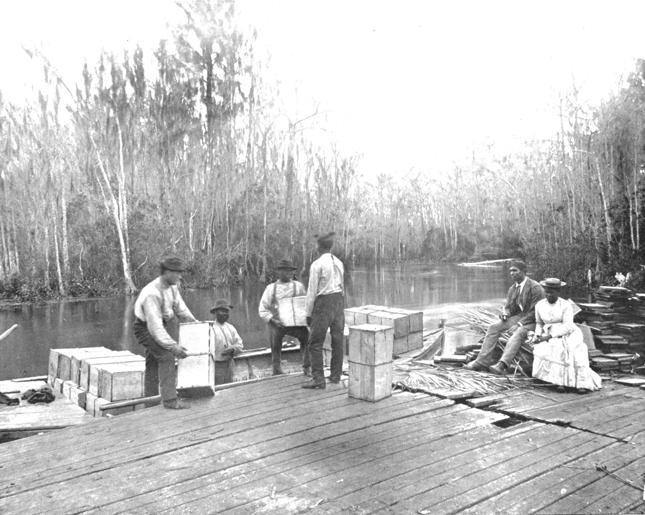 Loading Oranges on the Ocklawaha River, Florida, USA by Unbekannt