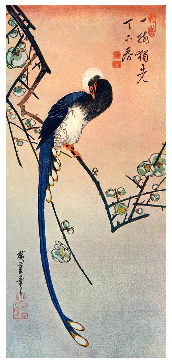 Long Tailed Blue Bird on Branch of Plum Tree in Blossom, 19th Century by Unbekannt