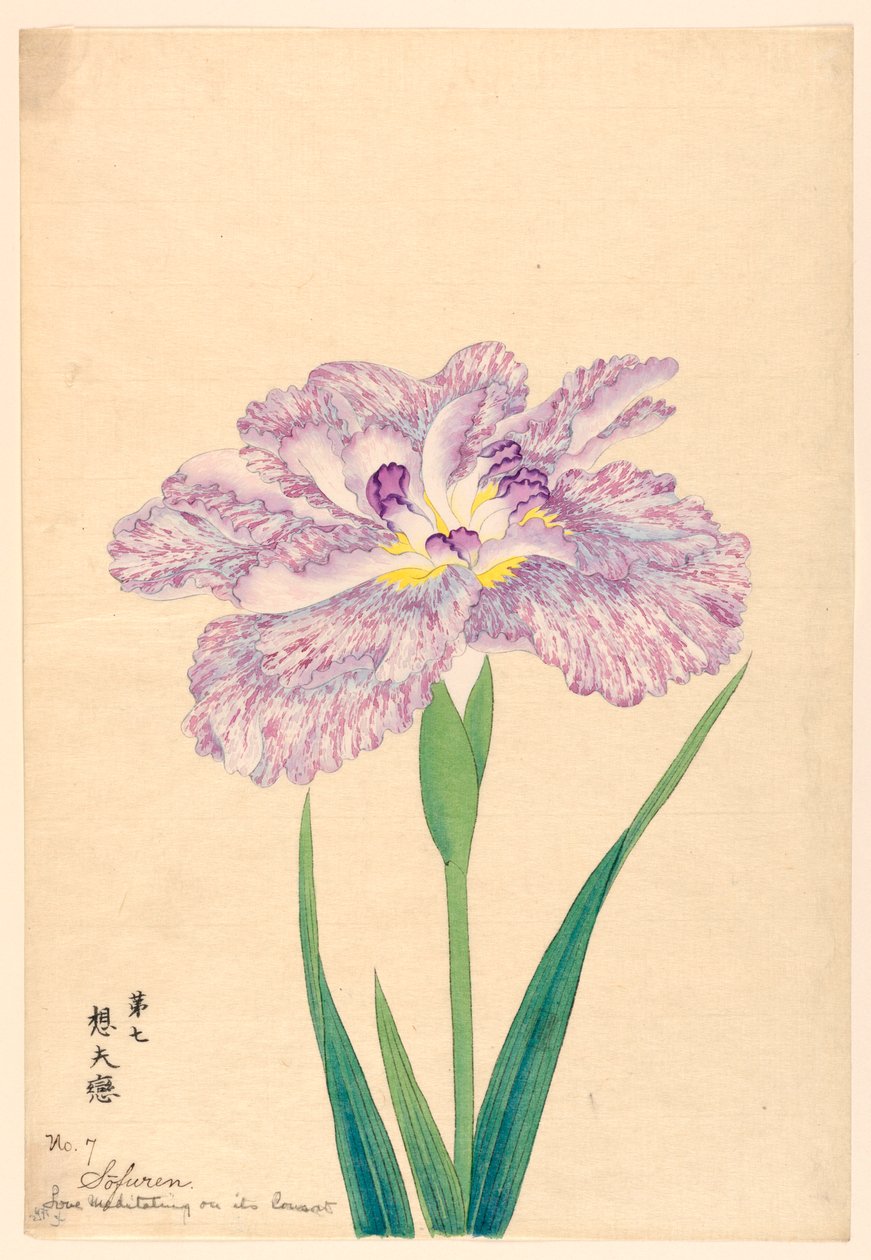 Love Meditating on Its Consort, No. 7, ca. 1910 by Unbekannt