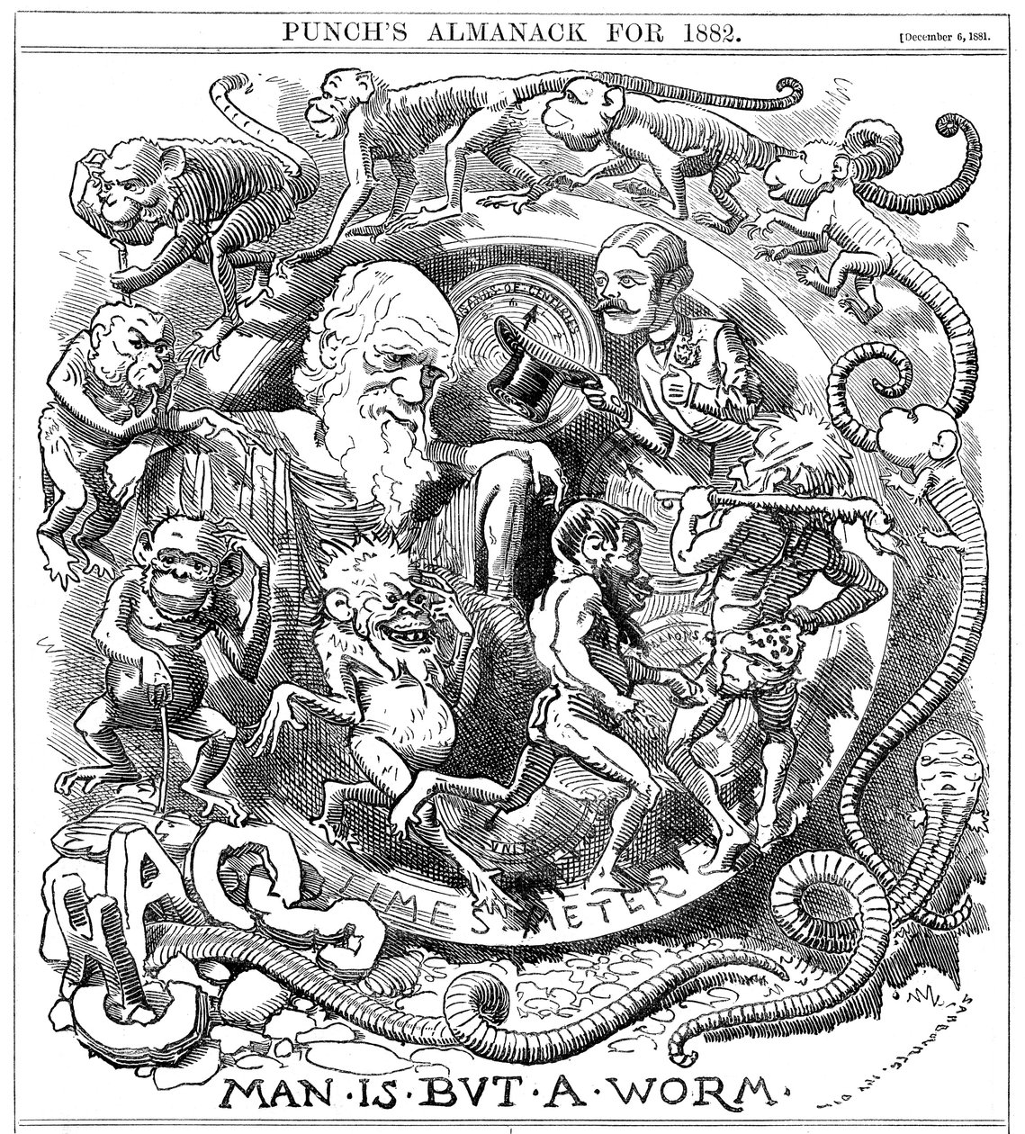 Man is but a Worm, cartoon from Punch showing evolution from worm to man by Unbekannt