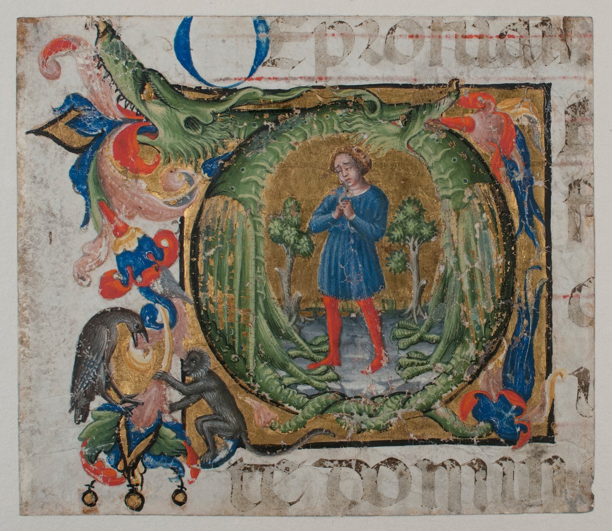 Manuscript Illumination with Initial Q, from a Choir Book, First Half 15th Century by Unbekannt