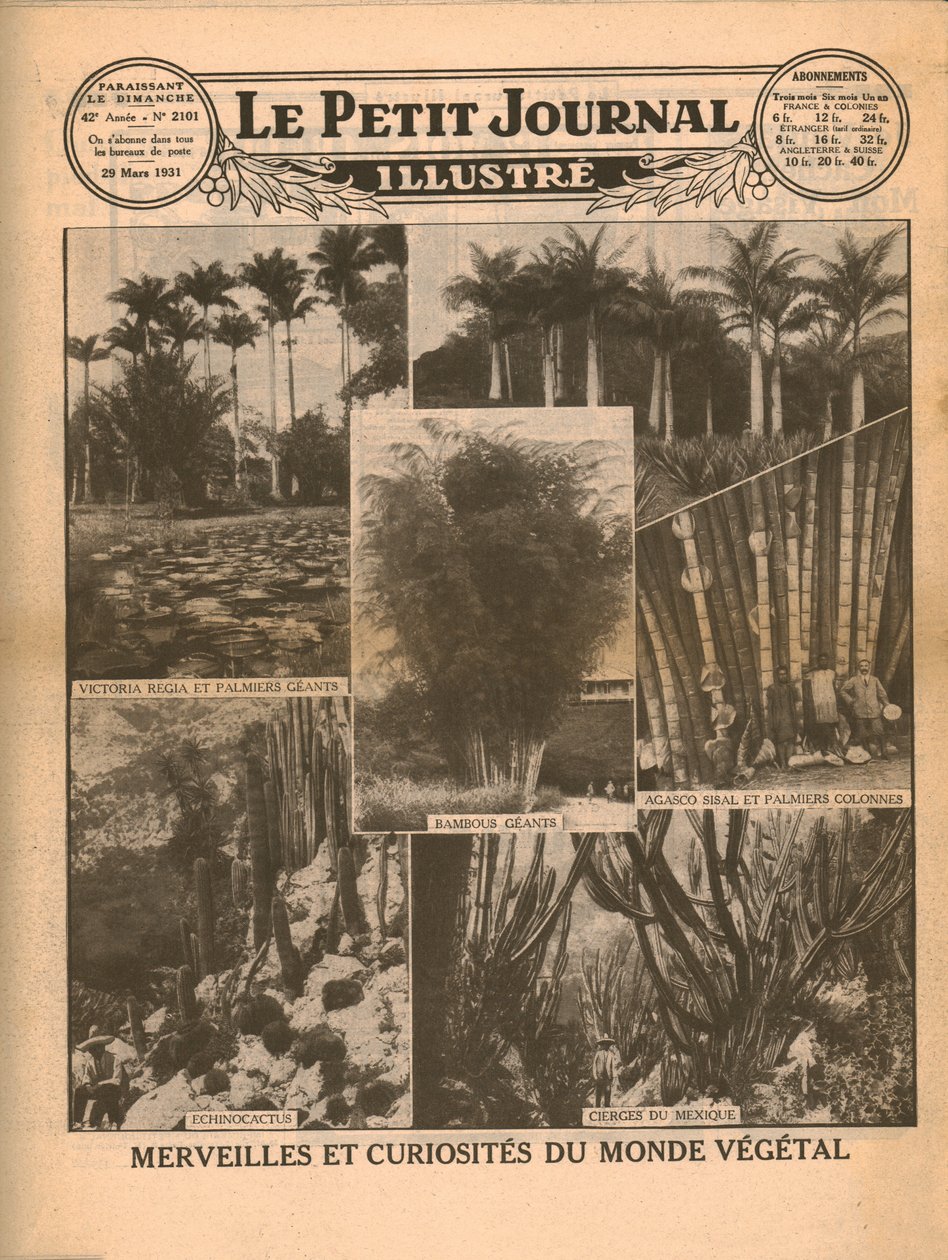 Marvels and curiosities of the plant world by Unbekannt