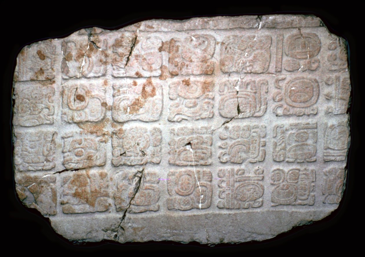 Mayan Hieroglyphs on Part of a Door Lintel by Unbekannt