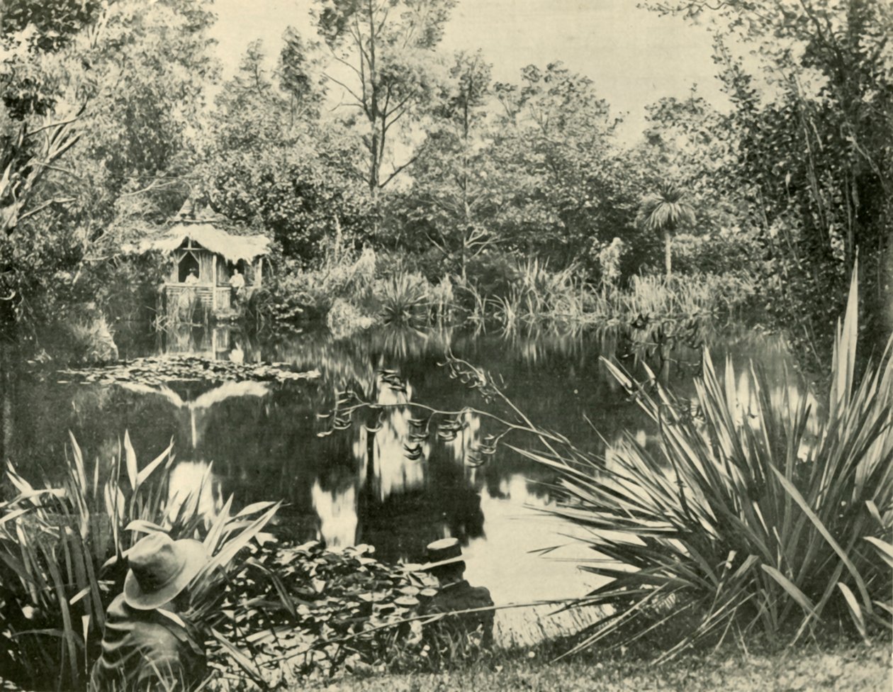 Mr. Ryans Gardens, Mount Macedon, Victoria by Unbekannt