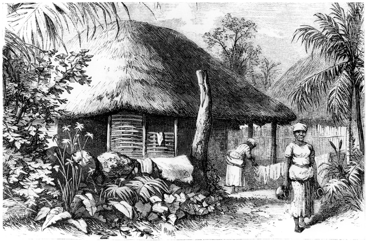 Native Habitation, Santo Domingo, 1873 by Unbekannt