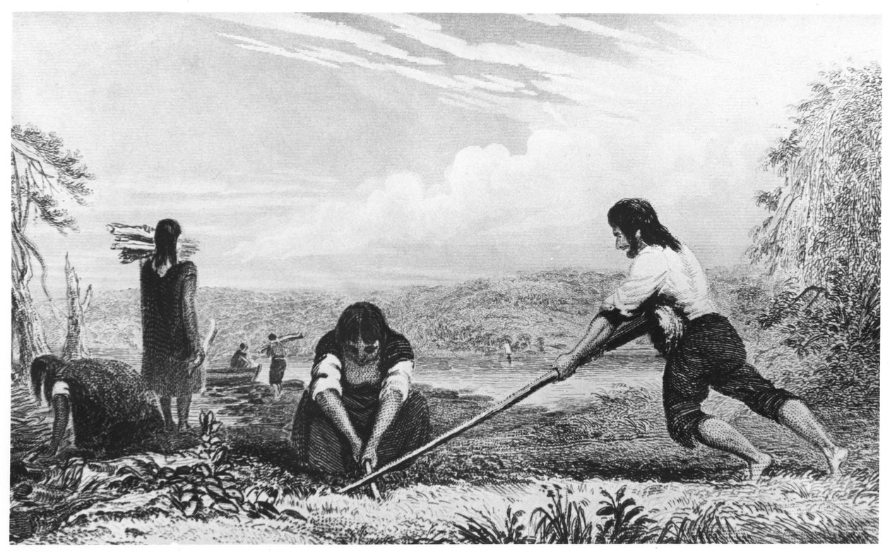 Natives of Chiloe, Patagonia, using a breast plough, 1839 by Unbekannt