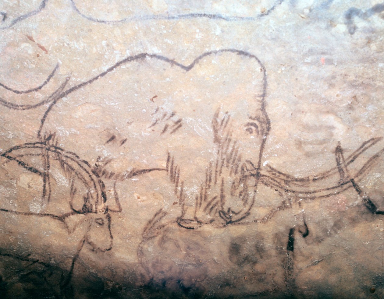 Neolithic cave-painting of mammoth and ibexes by Unbekannt